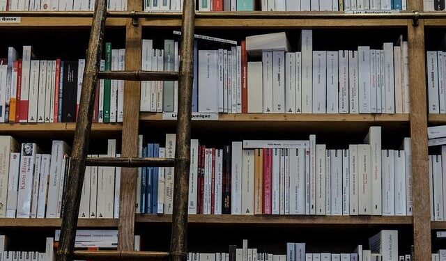 Commission adopts proposals for the signing, provisional application and conclusion of EU-UK Agreement in respect of Gibraltar – The European Sting