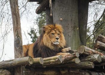 Foreign Direct Investment Regimes Laws and Regulations Report 2026 Slovenia – ICLG.com