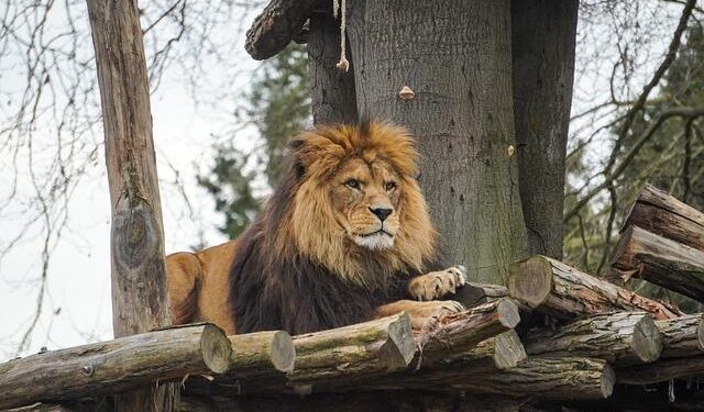 Foreign Direct Investment Regimes Laws and Regulations Report 2026 Slovenia – ICLG.com