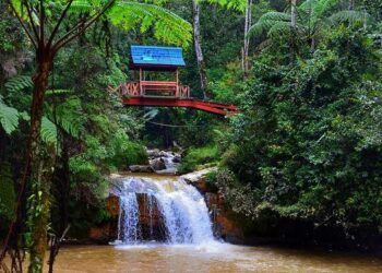 Thompson Returns With Team York Suzuki for 2026 Isle of Man TT Races – Cycle News