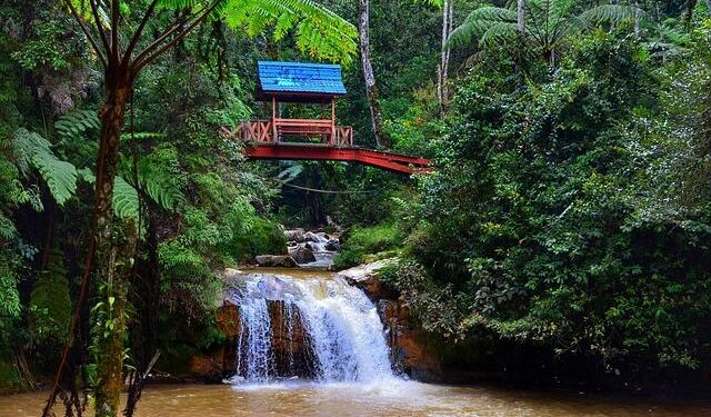 Thompson Returns With Team York Suzuki for 2026 Isle of Man TT Races – Cycle News