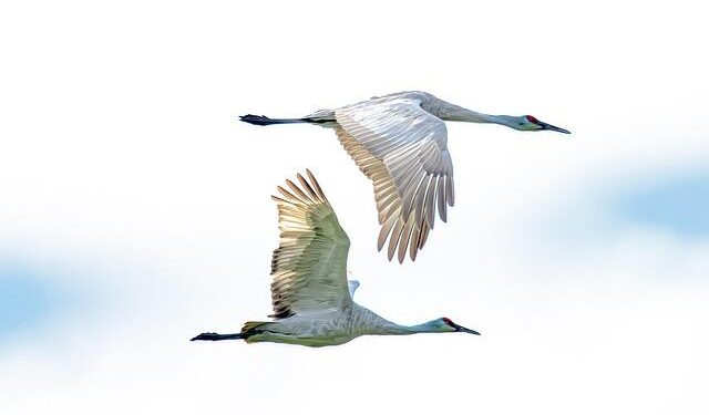 Inside the Growing Scientist Migration to Europe – Time Magazine