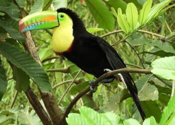 Armenia’s Pashinyan Departs for Poland – Caspian Post