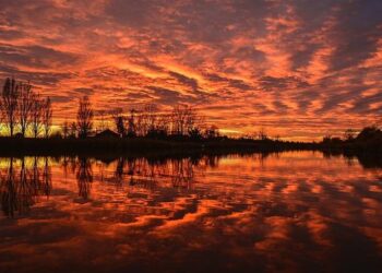 45 days to election: Poll shows a significant Tisza lead, Orbán puts soldiers on the streets – EUobserver