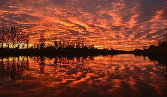 45 days to election: Poll shows a significant Tisza lead, Orbán puts soldiers on the streets – EUobserver