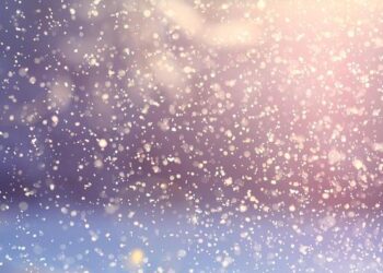 Cold weather continues to weigh on greenhouse yields across Southern Spain – Hortidaily