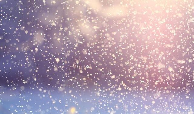 Cold weather continues to weigh on greenhouse yields across Southern Spain – Hortidaily