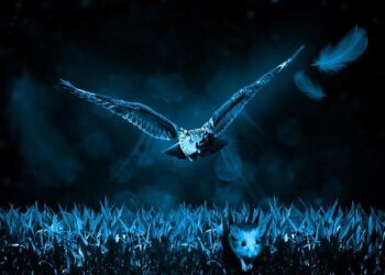 AZAL halts several flights amid tensions in Iran – Latest news from Azerbaijan