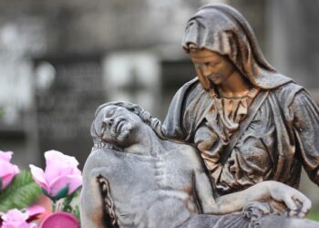 Where is Guernsey on assisted dying? – BBC