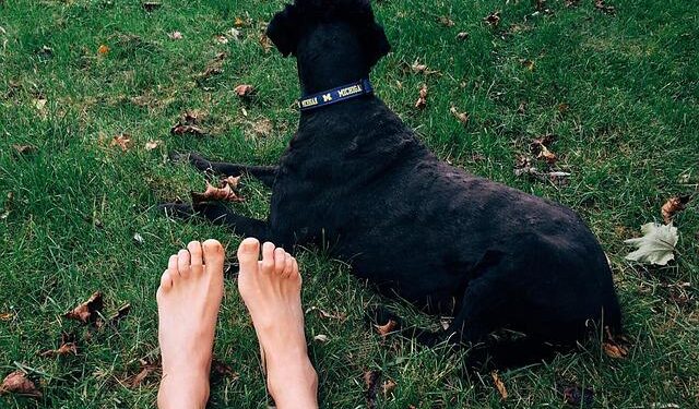 News – Oral History: How Michigan and Latvia Built an Enduring State Partnership – DVIDS