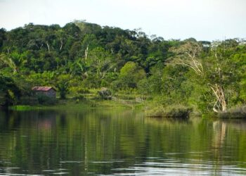 Amazon leaders meet Luxembourg Prime Minister Luc Frieden in Seattle – About Amazon Europe