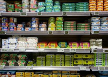 Road transport: Council allows Austria to amend agreement with Switzerland on cabotage by buses and coaches in border regions – consilium.europa.eu