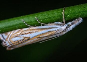 MOL, Slovnaft accuse Croatia’s Janaf of abuse of monopoly position – SeeNews