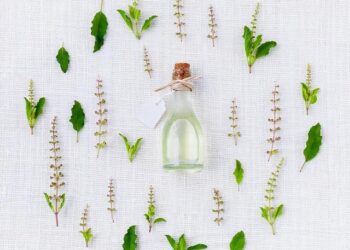 Nawrocki unveils ‘sovereign’ alternative to €43 bln EU defense loans – TVP World