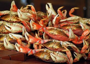 🇸🇲 San Marino: San Marino Song Contest 2026 Semi-Final One Results – Eurovoix