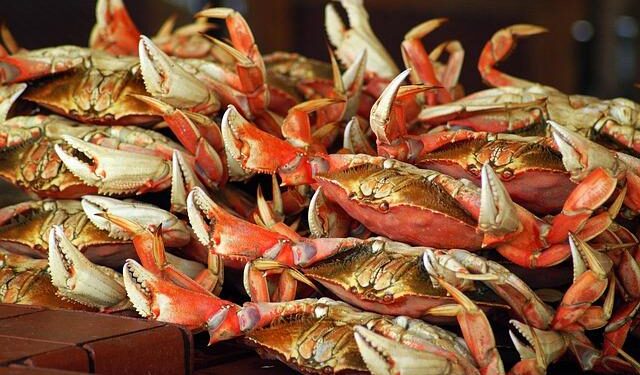 🇸🇲 San Marino: San Marino Song Contest 2026 Semi-Final One Results – Eurovoix