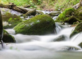 Kosovo president proposes popular presidential vote – SeeNews