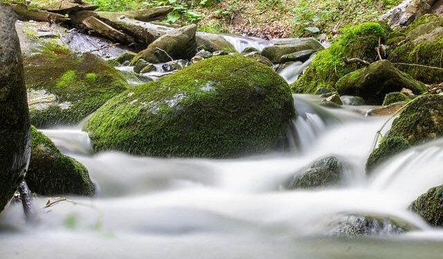 Kosovo president proposes popular presidential vote – SeeNews