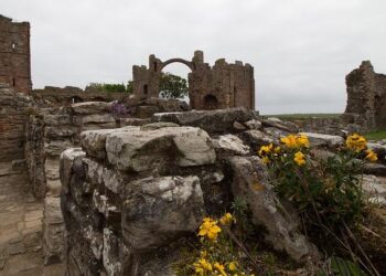 It’s AIDAN for Malta at Vienna 2026 – eurovision.com