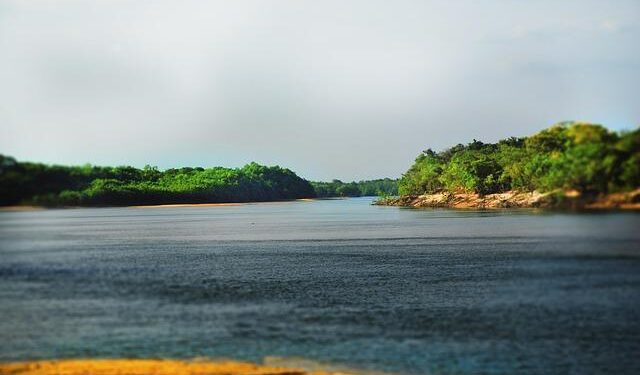 Venezuela’s big inning, bullpen too much for Netherlands in WBC opener – USA Today