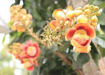 Śnieżka SA Creates Subsidiaries in the Czech Republic & Slovakia – Coatings World