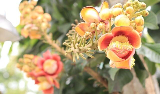 Śnieżka SA Creates Subsidiaries in the Czech Republic & Slovakia – Coatings World