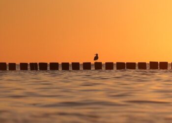 Baltic Sea – Britannica