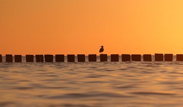 Baltic Sea – Britannica