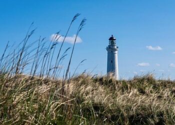 Denmark is set to explore if gastronomy can be recognized as an art form – Northeast Mississippi Daily Journal