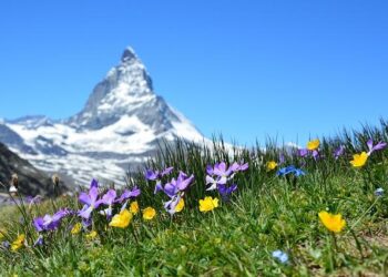 Swiss to vote on right-wing push to slash licence fee for public broadcaster – BBC