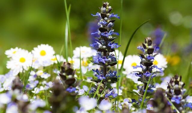 Small stamps, big bridge: Aland’s zodiac series connects Nordic isles with China – Xinhua