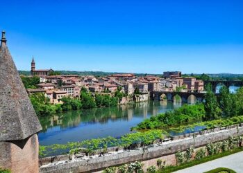 Ozzie Albies saves Team Netherlands with epic 3-run walk-off home run in World Baseball Classic – Yahoo Sports