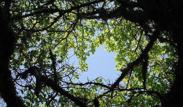 Switzerland Joins Romania, Poland, Italy, Iceland, Hungary, and Denmark as UK Updates Strict Travel Advisory Amid Passport Reforms, Biometric Registration for Schengen Travelers, and Visa Policy Shifts in April 2026 – Travel And Tour World