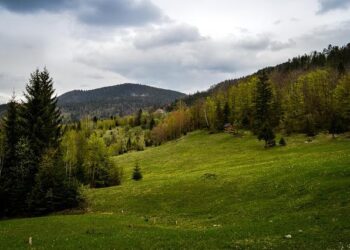 Serbia’s Candidacy for the European Union: Is There a Future Ahead? – institutmontaigne.org