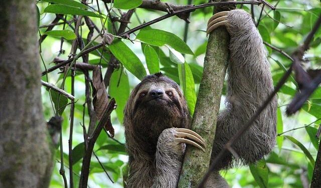 President Aliyev and Antonio Costa reaffirm Azerbaijan-EU strategic partnership – Latest news from Azerbaijan