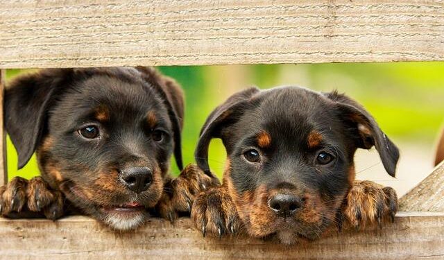 Czech news in brief for March 10: Tuesday’s top afternoon headlines – Expats.cz