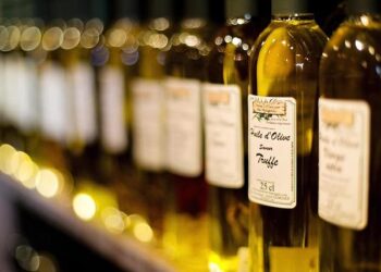 Oil Spill in Dniester River After Russian Attack Threatens Ukraine-Moldova Water Safety – Odessa Journal