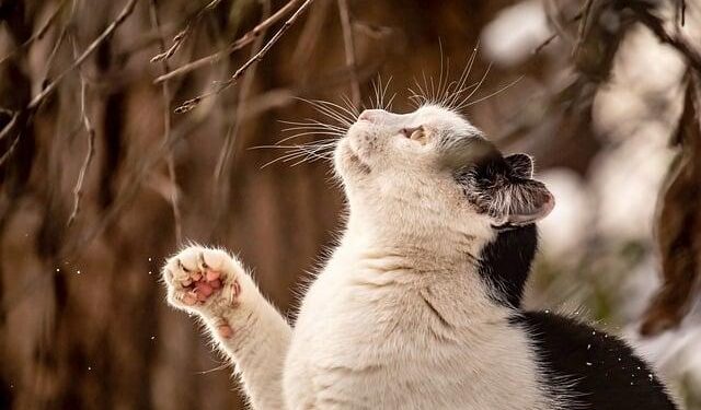 The United Kingdom is working closely with the Lebanese Government and humanitarian partners to support those affected by the current escalation: UK statement at the UN Security Council – GOV.UK