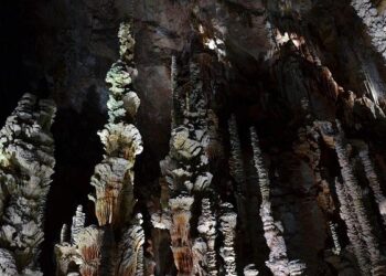 Armand Duplantis: Two-time Olympic pole vault champion breaks world record at Mondo Classic in Sweden – BBC