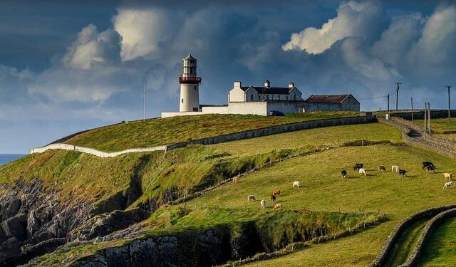 REACTION: Ireland find their edge in Dublin dust-up – Six Nations Rugby