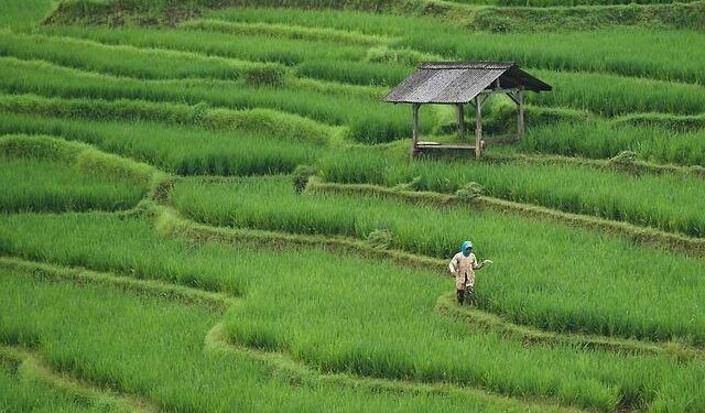 TotalEnergies plans to start phase two output at Azerbaijan’s Absheron gas field in 2029 – Reuters