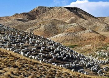 Ankara urges EU to avoid sending naval ships to Cyprus – eKathimerini.com