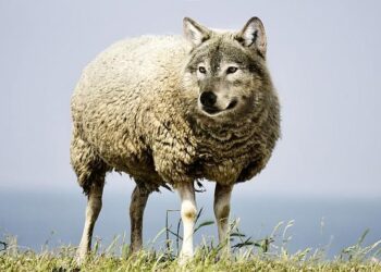 Facing Russian Hybrid Threats in Advance of Elections, Armenia Struggles to Maintain Pro-U.S. and EU Path – Just Security