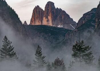 Drei Austria records lowers revenues, flat EBITDA in 2025 – Telecompaper