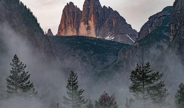 Drei Austria records lowers revenues, flat EBITDA in 2025 – Telecompaper