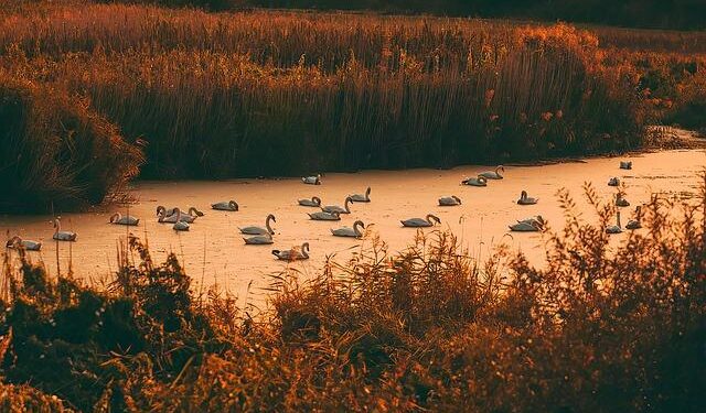 Joint statement from Finland, the Netherlands, and the United Kingdom on joint defence financing and procurement – GOV.UK