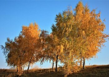 Moldova Summons Russian Envoy After Suspected Strike Pollutes Dnister River – The Moscow Times