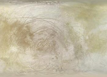 CE Europa vs FC Andorra live score, H2H and lineups – Sofascore