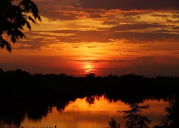 Bruno Fernandes Laments Ronaldo’s Absence for Portugal Friendlies – National Today