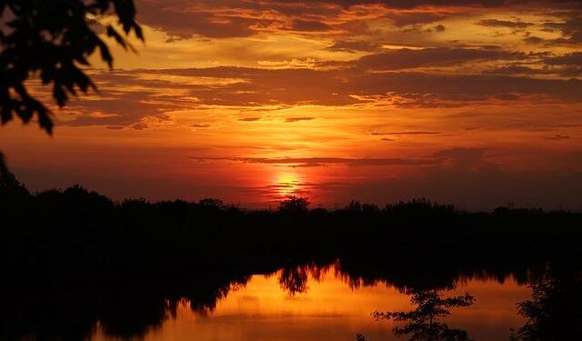 Bruno Fernandes Laments Ronaldo’s Absence for Portugal Friendlies – National Today